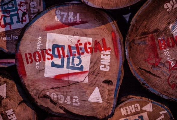 Lutte contre le commerce illégal du bois